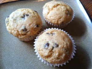 Chocolate Chip Muffin Recipe