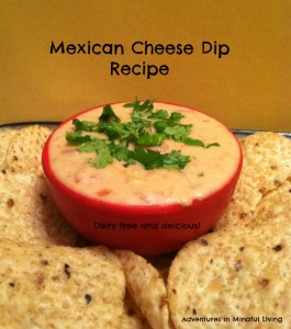 Mexican Cheese dip recipe @ Adventures in Mindful Living 