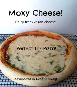 moxy cheese