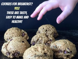 Cookies for Breakfast? Yes! These are tasty, easy to make and healthy!