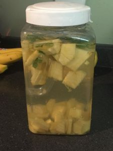 Pineapple and Mint Infused Water Recipe! Good for you, easy to make, and sooo delicious!