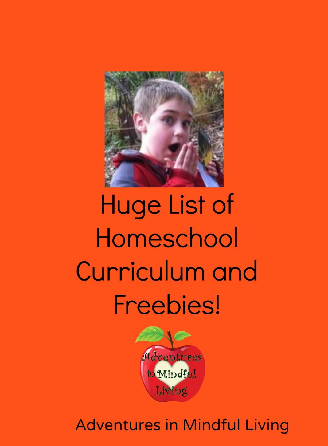 huge-list-of-homeschool-curriculum-and-freebies-adventures-in-mindful-living