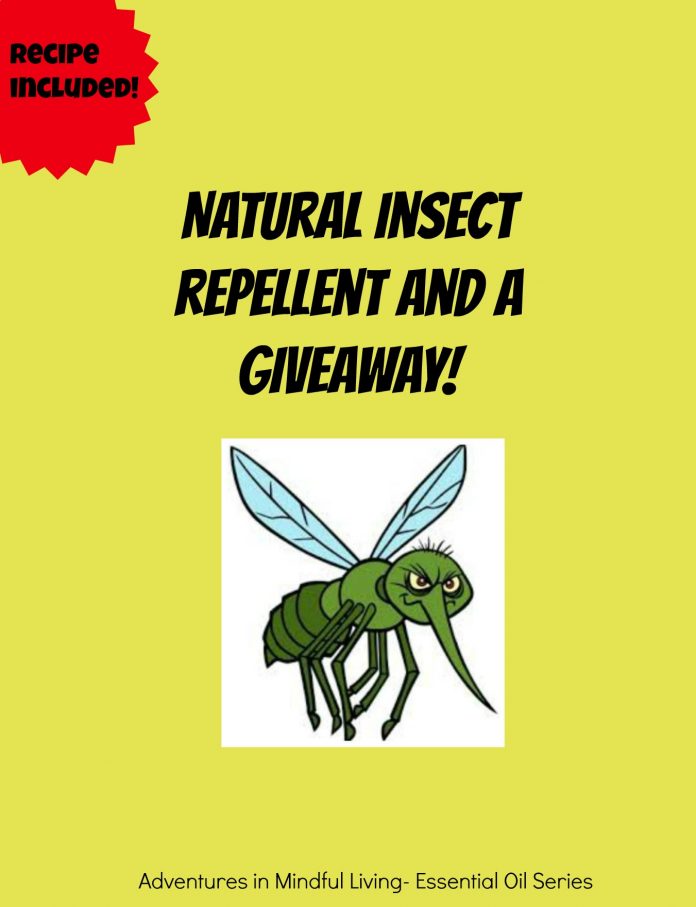 Natural Insect Repellent and a giveaway! Looking for other more natural options when it comes to keeping those lovely insects at bay this summer? Then come and check out this recipe and enter to win a bottle of Terrashield! Adventures in Mindful Living
