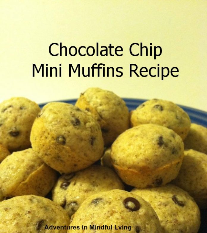 Chocolate Chip Mini Muffins! Easy to make!! (egg and dairy free!)
