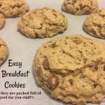 Easy Breakfast Cookies! Packed full of great taste and good for you stuff! Check it out!